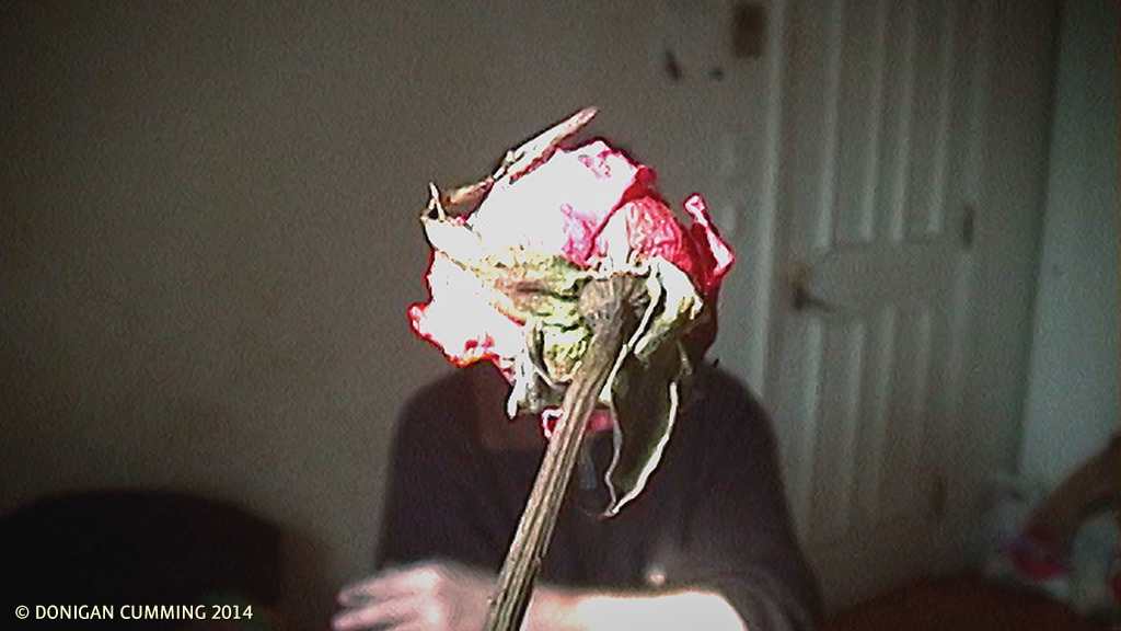 Donigan Cumming, Exit Interview, Mystery Man, Flower, Dead flower, Bad Boy, Dr. Spock, L’homme Myster, Fleur, Nature morte, El Hombre Misterioso, Flor, Naturaleza Muerta